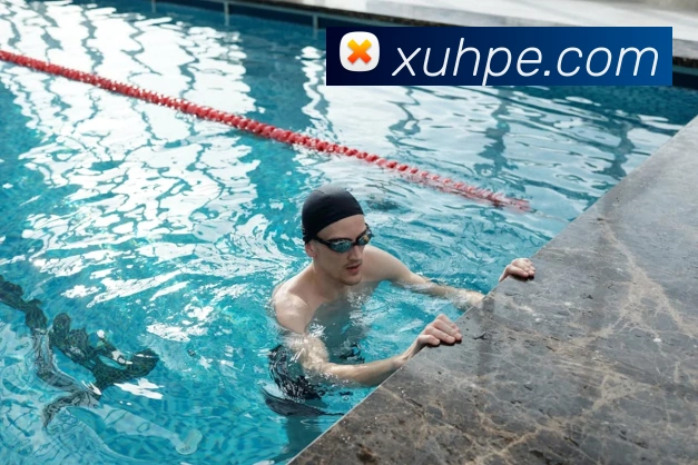 华体会体育平台生态图